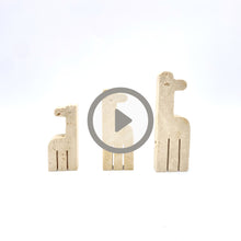 Charger l'image dans la galerie, https://cdn.shopify.com/videos/c/o/v/58508cb43c6b44a49414be4039f68f27.mp4