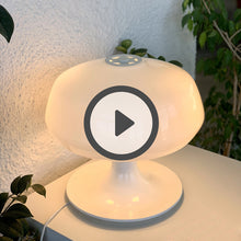 Load image into Gallery viewer, https://cdn.shopify.com/videos/c/o/v/d1872168506540f18791fecfd8f65afa.mp4